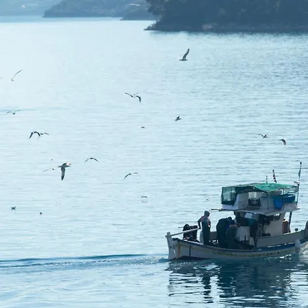 Agoritsa Beachfront With Its Own Pontoon 니드리